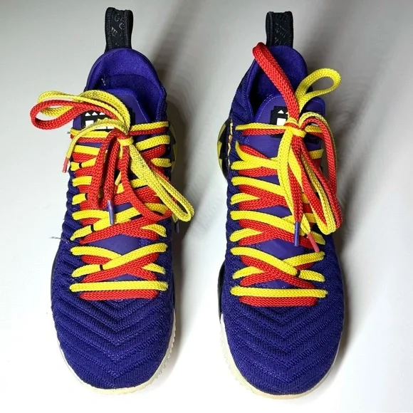 Nike Men’s Lebron XVI 16 MARTIN Court Purple Yellow CI1520-500 Size- 9
